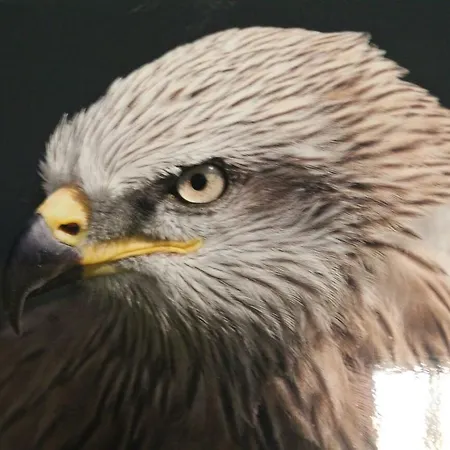 Rural Puerta De Monfrague