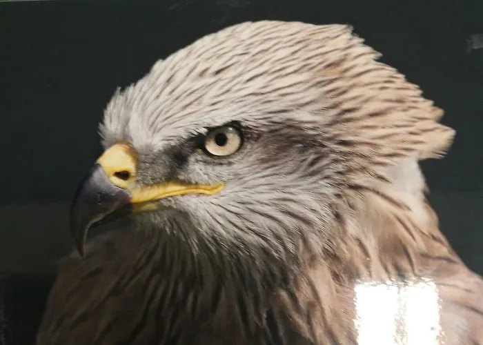 Rural Puerta De Monfragüe