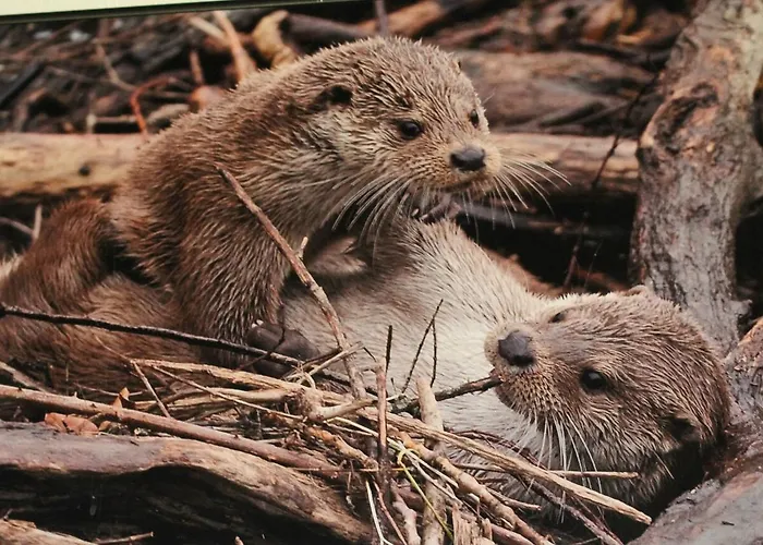 Rural Puerta De Monfragüe Villarreal de San Carlos