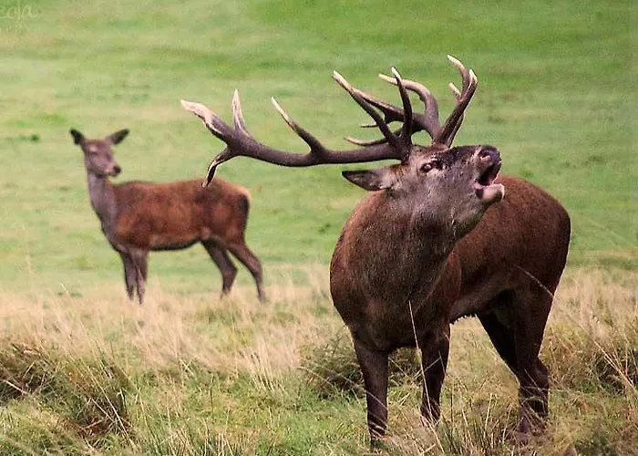 Rural Puerta De Monfragüe * Villarreal de San Carlos